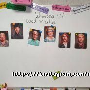 Novita, школа всебічного розвитку фото