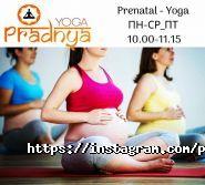 Pradnya Yoga, институт йоги фото