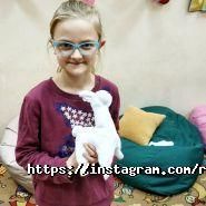 Ребус Домус фото