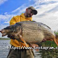 Veerline, натяжні стелі фото