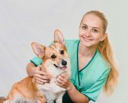 ПроХвост, ветеринарний центр фото