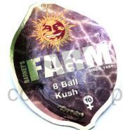 Сувениры из Амстердама фото