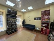 Вуса, лапи, хвіст, ветеринарна клініка фото