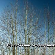 Фотограф Володимир Ковалюк фото