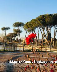 Косметолог Чистенко Вікторія фото