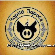 Чорне порося, пивна і м'ясна ресторація фото