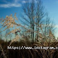 Фотограф Володимир Ковалюк фото