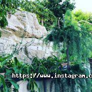 Росток, ландшафтний центр фото