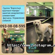 Center Zoo, мережа зоомагазинів фото