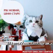 Master English Center, курси англійської мови фото