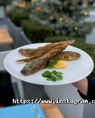 Чайка, ресторан фото