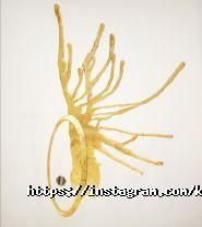 Кам'яна Квітка, все для кам'яних робіт фото