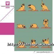 Sweet Family Club, школа танців та акторської майстерності фото