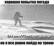Sport City, фитнес-центр фото