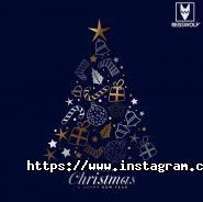 Райссвольф україна, архівні послуги фото