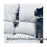 GloveLove, інтернет магазин фото