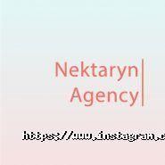 Nektaryn Agency, створення сайтів фото