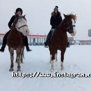 Темпо, кінний клуб фото