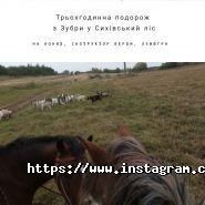 Темпо, кінний клуб фото