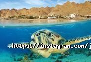 Join Up, мережа туристичних агенцій фото
