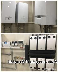 Арт Терм фото