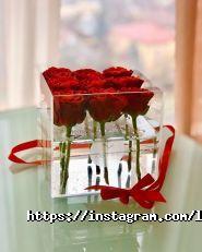 Лютик, студія фото