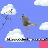 LAvender, студія іграшок фото