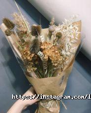 Лютик, студія фото