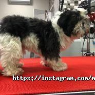 Моhnatikoff, зоосалон фото