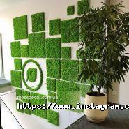 Moss Decor, доставка квітів фото