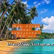 Жара, центр туризму і бронювання авіаквитків фото