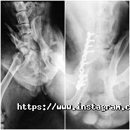 Ветдопомога, ветеринарна клініка фото