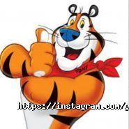 Giulia, мережа магазинів фото