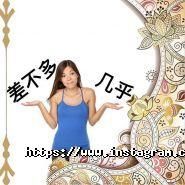 Fayna Centre, мережа мовних центрів фото