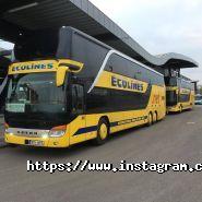 Ecolines, компанія пасажирських перевезень фото