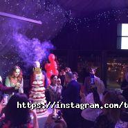 Tour De Svet, туристичне агентство фото