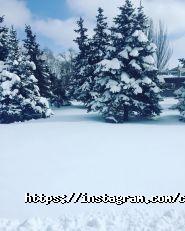 Кабінет косметолога на Виконкомівській фото