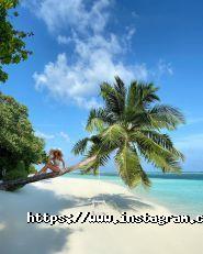 Океан Тревел, туристичне агентство фото