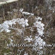 Корпоратекс, рекламно-швейне підприємство фото