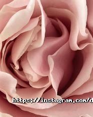 Дом декора, салон фото