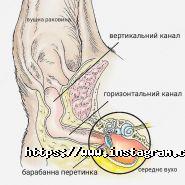 Zoo House, зоомагазин фото