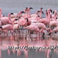 Life Travel, туристична агенція фото