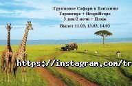 Travel As Art, туристичне агентство фото