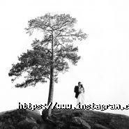 Фотограф Олег Колос фото