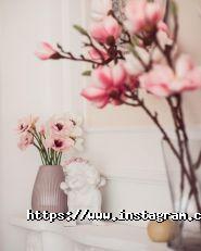 Favore Studio, фотостудія фото