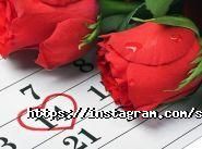 Suship, служба доставки суши и пиццы фото