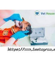 Zoo House, зоомагазин фото