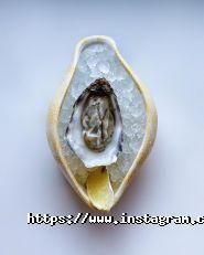 Устрична, бар-ресторан фото