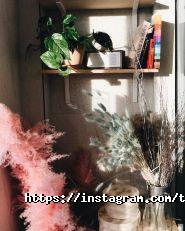 TSE flowers, служба доставки цветов фото