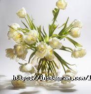 Lily of the Valley Home, шоу-рум фото